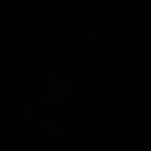 Meet your Posher, Suzanne